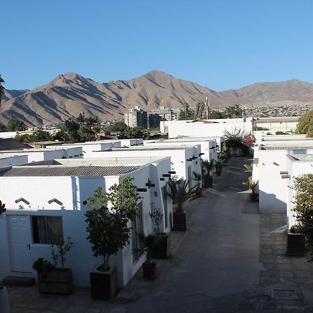 Oasis de Atacama Copiapó Exterior foto