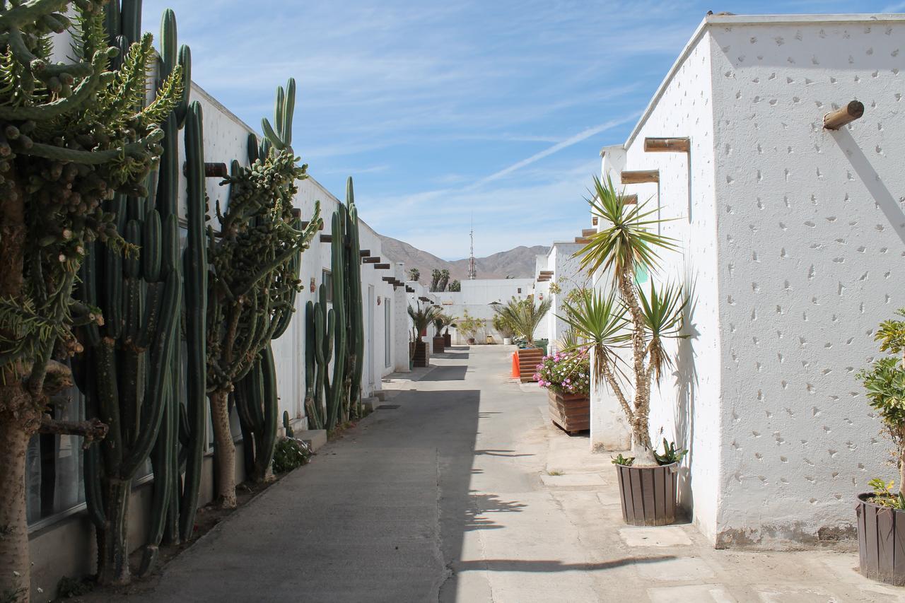 Oasis de Atacama Copiapó Exterior foto