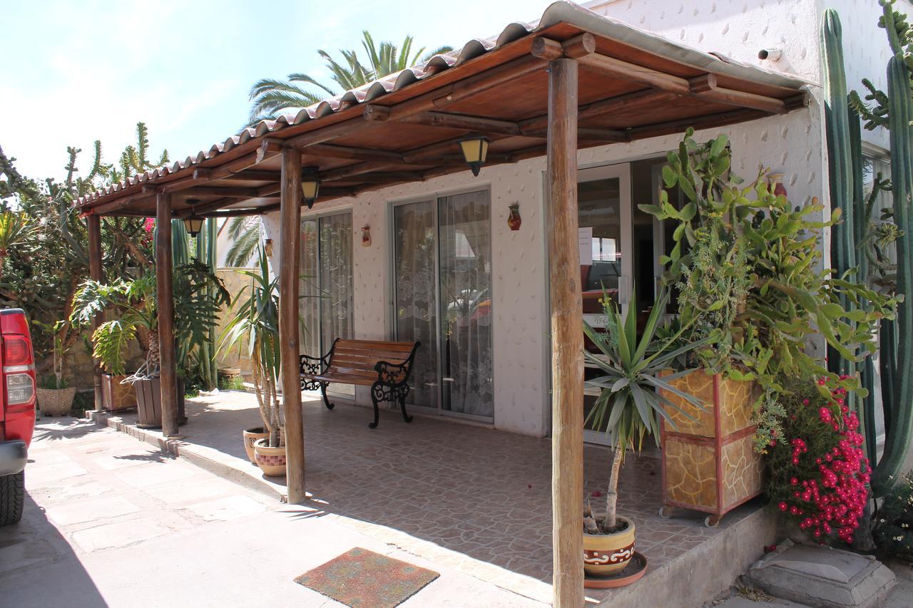 Oasis de Atacama Copiapó Exterior foto