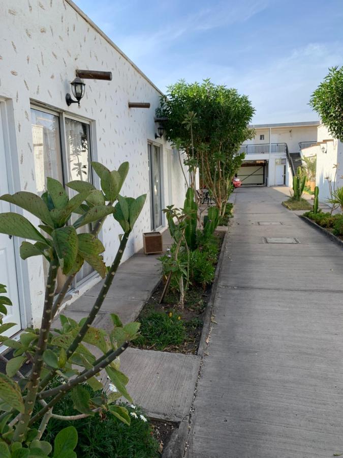 Oasis de Atacama Copiapó Exterior foto